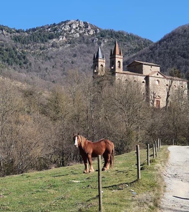 El Mussol De La Vila Camprodon, Balconets Amb Vistes A La Placa Exterior photo